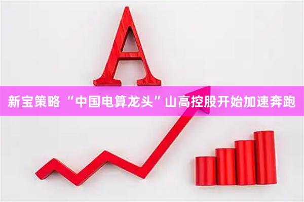 新宝策略 “中国电算龙头”山高控股开始加速奔跑