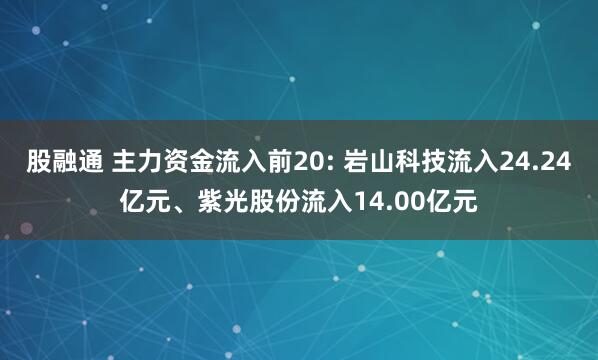 股融通 主力资金流入前20: 岩山科技流入24.24亿元、紫光股份流入14.00亿元