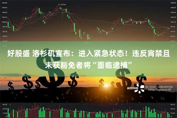 好股盛 洛杉矶宣布：进入紧急状态！违反宵禁且未获豁免者将“面临逮捕”