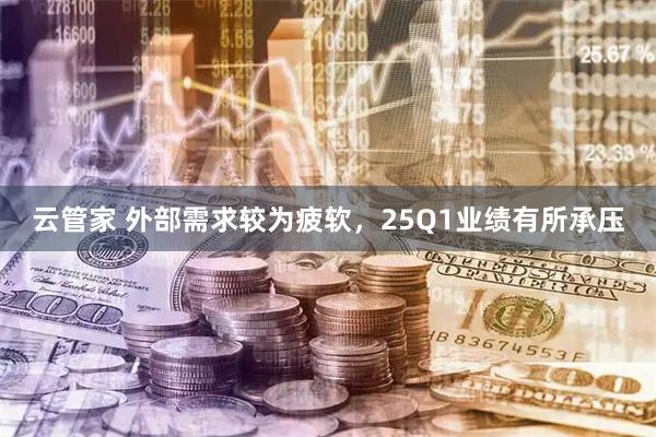 云管家 外部需求较为疲软，25Q1业绩有所承压