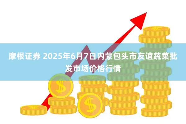 摩根证券 2025年6月7日内蒙包头市友谊蔬菜批发市场价格行情