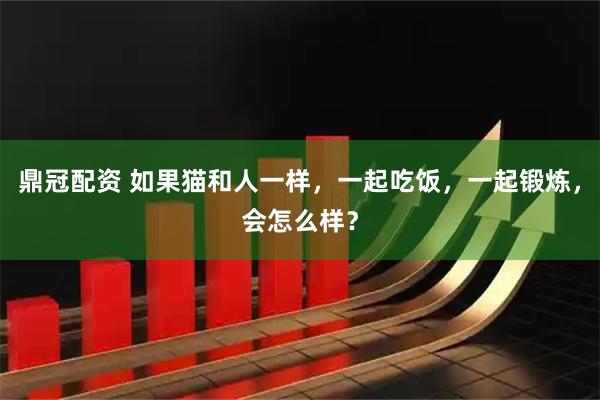 鼎冠配资 如果猫和人一样，一起吃饭，一起锻炼，会怎么样？