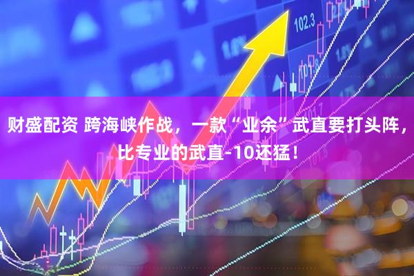 财盛配资 跨海峡作战，一款“业余”武直要打头阵，比专业的武直-10还猛！