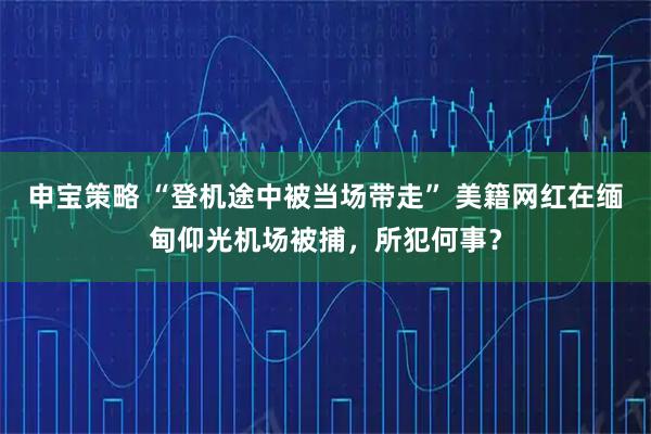 申宝策略 “登机途中被当场带走” 美籍网红在缅甸仰光机场被捕，所犯何事？