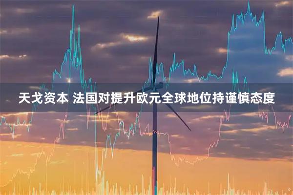 天戈资本 法国对提升欧元全球地位持谨慎态度