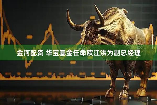 金河配资 华宝基金任命欧江洪为副总经理
