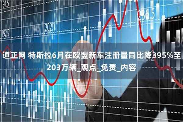 道正网 特斯拉6月在欧盟新车注册量同比降395%至203万辆_观点_免责_内容