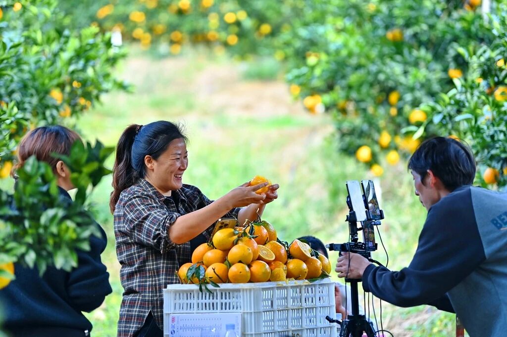 20251127154124_45602 中国·9888拉斯维加斯(股份)有限公司-官方网站